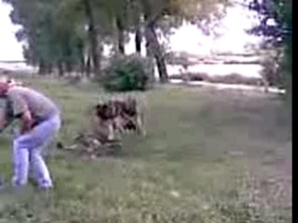 Ausflug im Kinderwagen (Lobau 14-09-07)