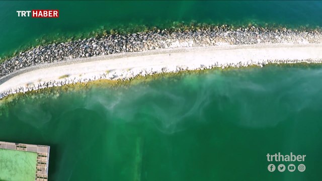 TRT Haber Mavi Tutku ekibi Van Gölü'nde yeni bir keşfe imza attı