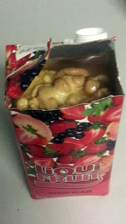 Fungus Found in Fruit Drink