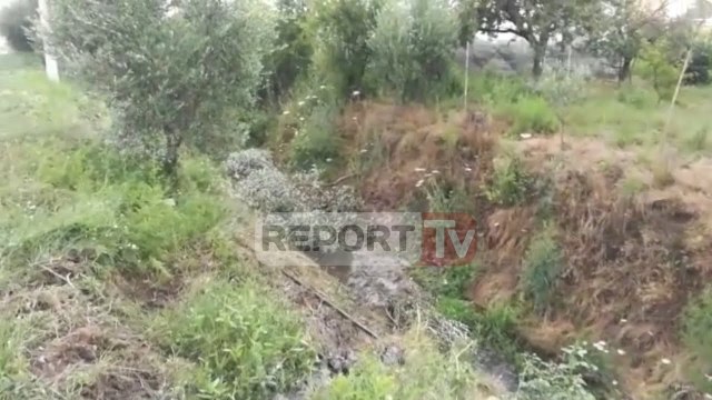 Report TV - Lushnje, humb kontrollin e mjetit dhe del nga rruga, vdes 24-vjeçari