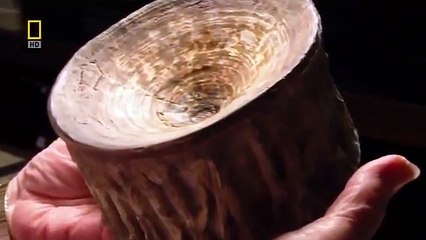 Megalodon Giant Shark - Nature Dinosaur Documentary HD