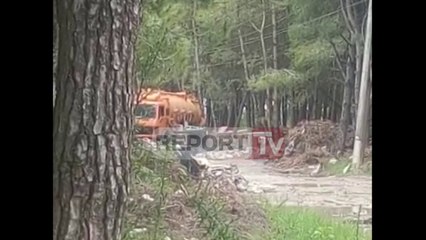 Report TV - Kavajë, mbeturinat urbane derdhen në pyllin e pishave, ndotet zona përreth plazhit