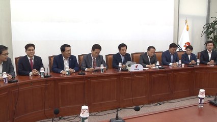 한국당, '제2의 김종인 비대위' 모델 성공할까? / YTN