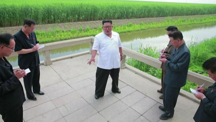 김정은 '북중접경' 신도군 시찰...북중경협 시작될까 / YTN