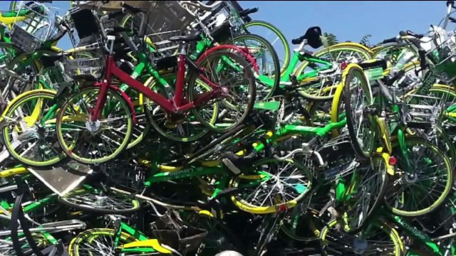 Colorado Bike Shops Question Why Lime Scrapped Dozens of Bikes