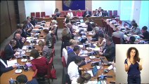 Commission des affaires sociales : Mme Dominique Gillot, pdte du Conseil national consultant des personnes handicapées - Mercredi 27 juin 2018