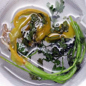 「パクチーノ」宇多田ヒカルさん監修！パクチー好きのあなたに♪ YouTubeでは、実際に「パクチーの唄」とコラボレーションした動画を公開中♪ Tasty Japanと宇多田ヒカル『初恋』がコラボ！ 宇多田ヒカルさんのニューアルバム「初恋」発売記念として、パクチーをふんだんに使用し