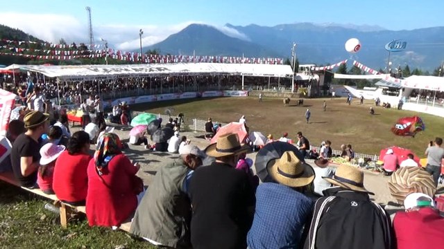 38. Kafkasör Kültür, Turizm ve Sanat Festivali... Boğa Güreşleri nefes kesti