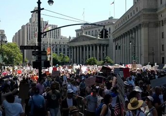Protesters Queue to Cross Brooklyn Bridge in #FamiliesBelongTogether March