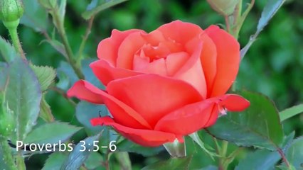 How to Find Peace of Mind (CHANGE YOUR MINDSET IN 2 MINUTES)