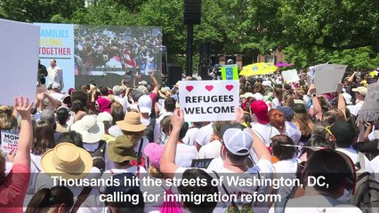 Thousands join DC protest against immigration policy