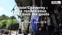 VIDEO. Loir-et-Cher : des rendez-vous pour tous les goûts au festival Jazzin'Cheverny