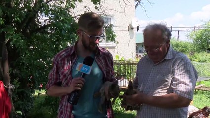 4 strony pasji RTK - króliki