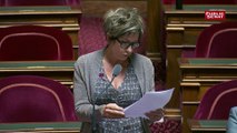 Nicole Bonnefoy présente son amendement création d’un fond d’indemnisation des victimes des pesticides