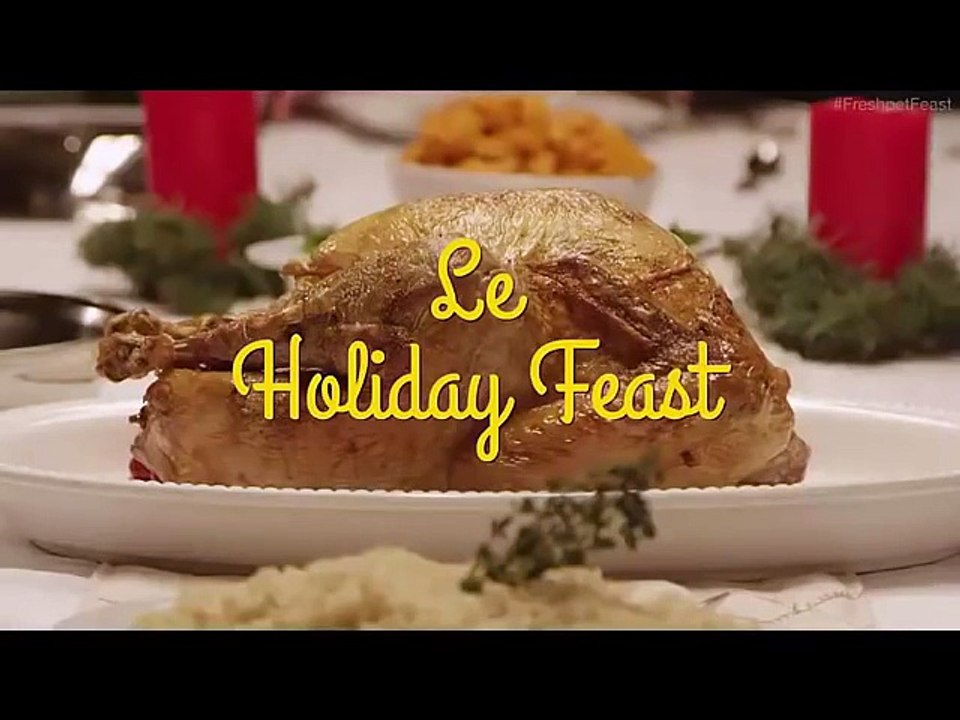 Family dinner on Christmas 13 dogs and 1 cat 13 köpek ve 1 kedi 13 Hunde und 1 Katze