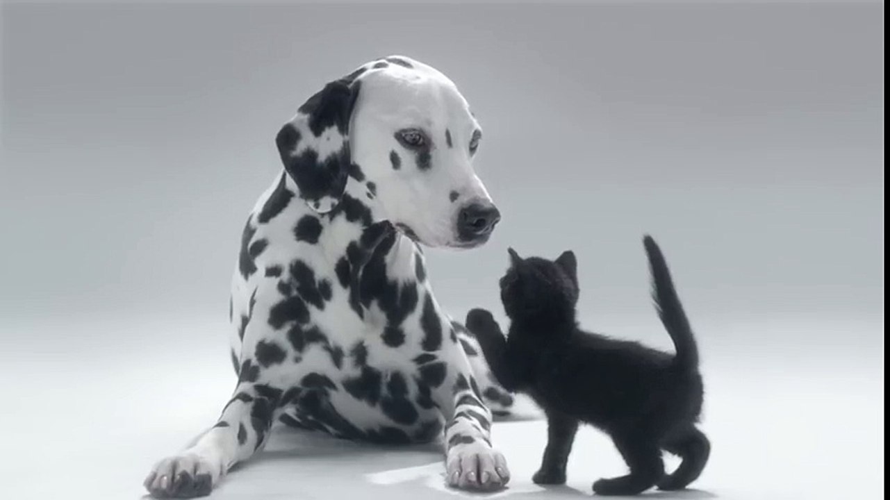 Werde auch du zum Skin Checker mit La Roche Posay!