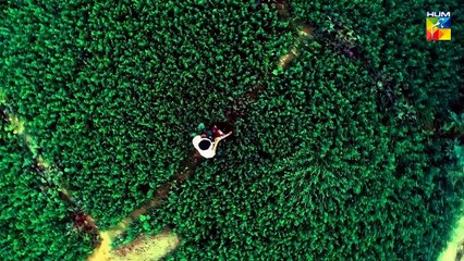 Aik Larki Aam Si  OST Full Song