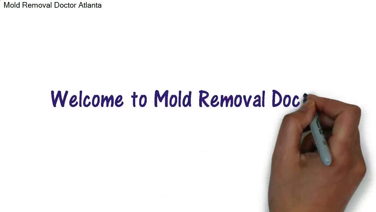 Quick Mold Specialist GA