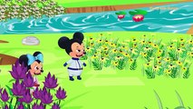Mickey Mouse et Minnie Mouse deviennent des astronautes! Apprendre les couleurs avec Mickey Mouse Cartoon