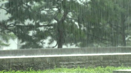 [날씨] 태풍 남해안으로 북상...전국 비바람, 최고 300mm 호우 / YTN