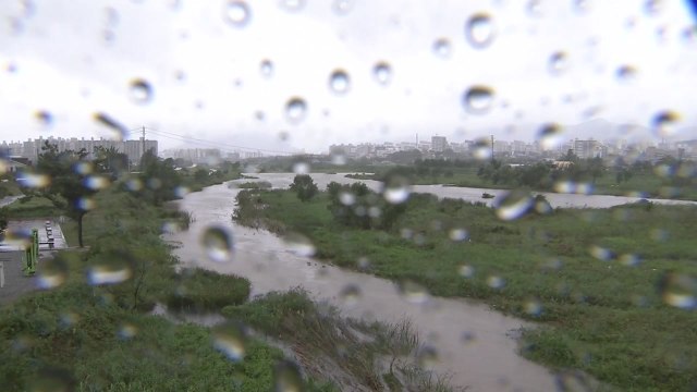 [날씨] 서울 호우주의보...태풍 수증기에 전국 물 폭탄 / YTN