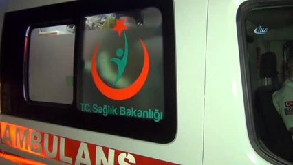 Otomobil Aydınlatma Direğine ve Ağaca Çarptı: 2'si Çocuk, 7 Yararlı