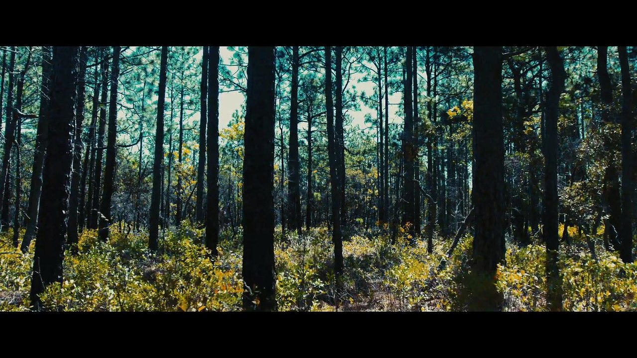 Moss Trailer