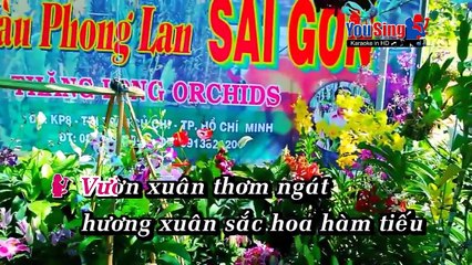 Cánh Bướm Mùa Xuân - Âu Bảo Ngân  Hoàng Nhật Minh