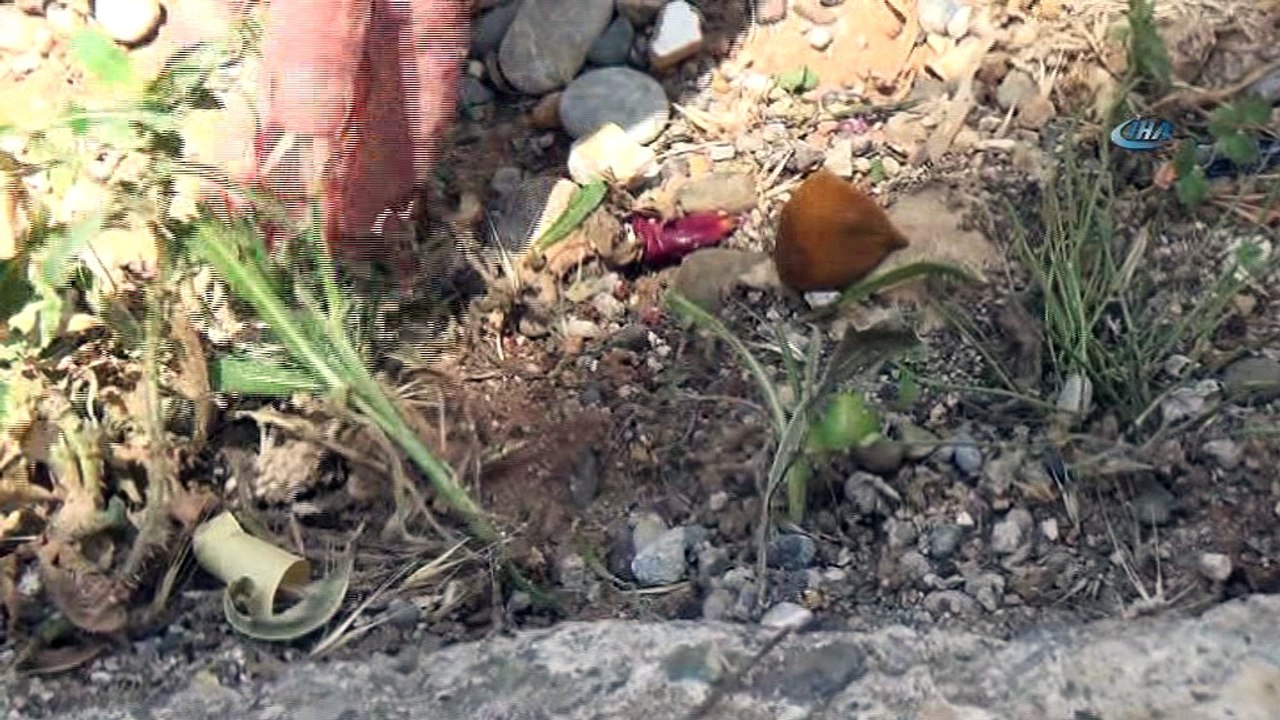 85 yaşındaki Nazmiye nineden 'çevre temizliğinde' örnek davranış