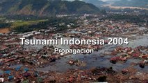 Tsunami de Indonesia 2004 - Propagación