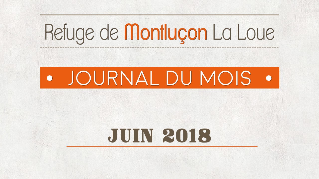 Un mois au refuge : juin 2018