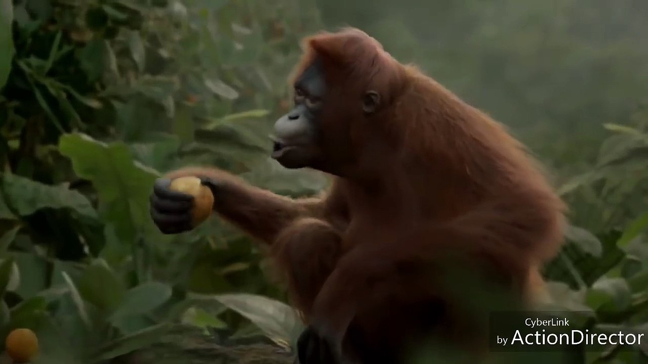 Jai Lava kusa-Swing Zara Full Video Song |Jr.Ntr,Thamanna,Devi Sri Prasad|By Chimpanji Dance