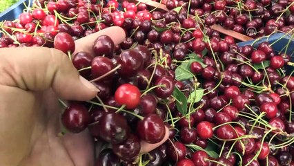 Avrupalı kozmetik firmaları Sultandağı kirazını tercih ediyor - AFYONKARAHİSAR