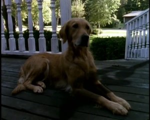 ESCALOFRIOS CAPITULO 7