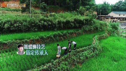 《向往的生活2》：baby陷泥潭不能自拔，抓螺蛳小分队全军覆没？ Back to Field S02【湖南卫视官方频道】