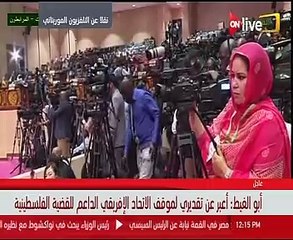 أبو الغيط: سنظل داعمين لجهود الاتحاد الافريقى فى حفظ السلم والأمن بالقارة