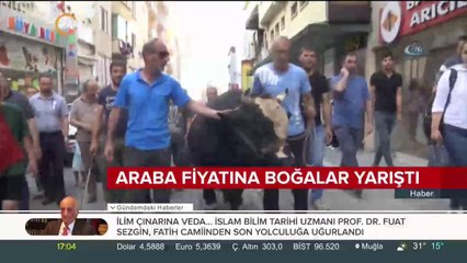 Araba fiyatına boğalar yarıştı