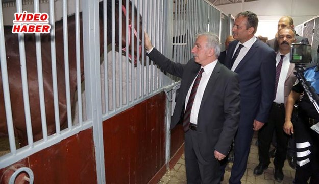 (1 Temmuz 2018) ÇEVİK KUVVET ATLI POLİS GRUP AMİRLİĞİ AÇILDI