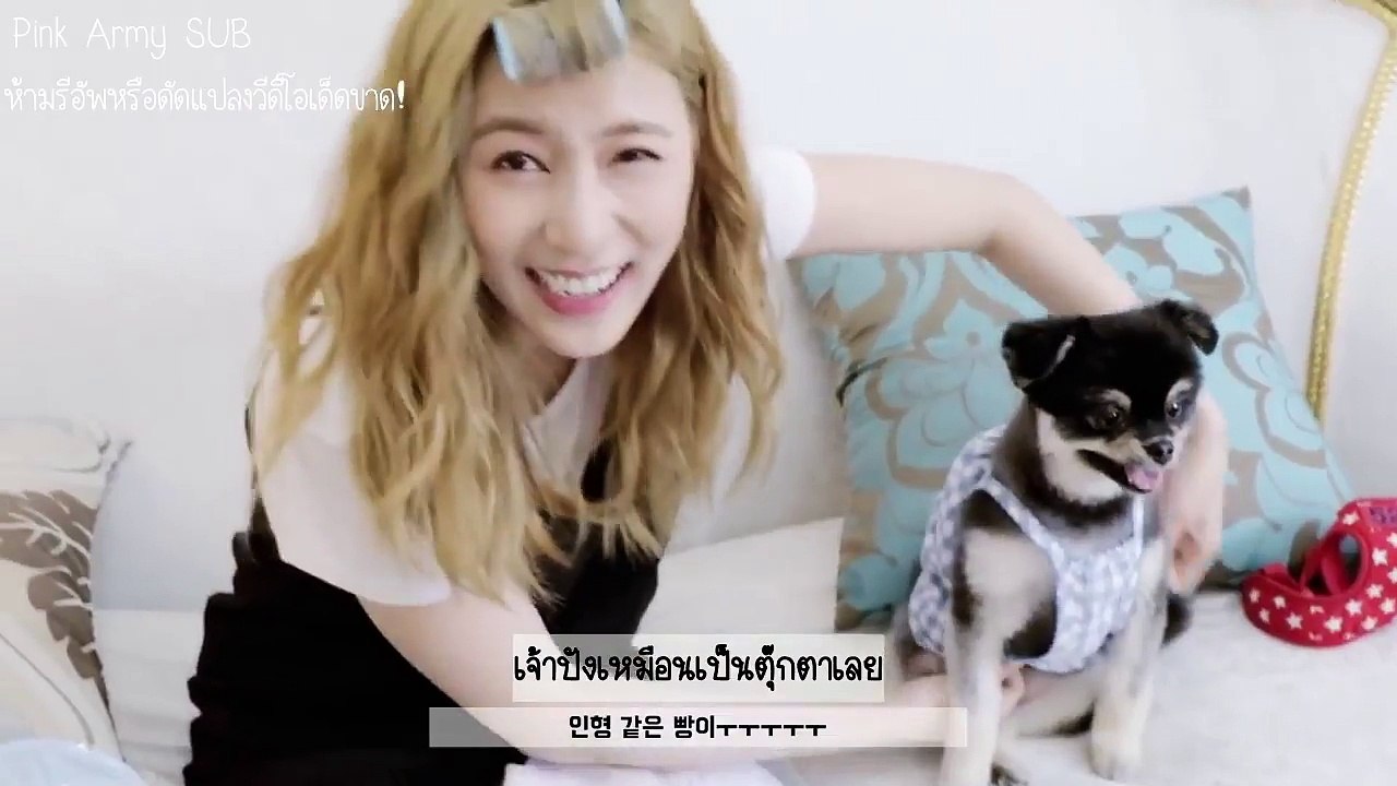 [THAISUB] Apink Mini Diary - โอฮายองกับน้องหมาโอปัง