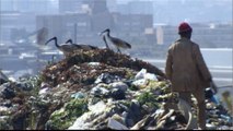 S Africa: Johannesburg recycling initiative begins