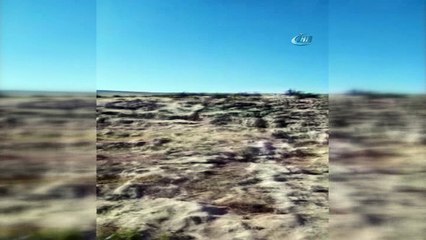 Çoban çocuğu arama çalışmaları sabaha bırakıldı