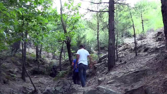 Amanos Dağı eteklerinde kaybolan 6 yaşındaki çocuk aranıyor - HATAY