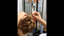 !!top amazing hair transformations - beautiful hairstyles!!