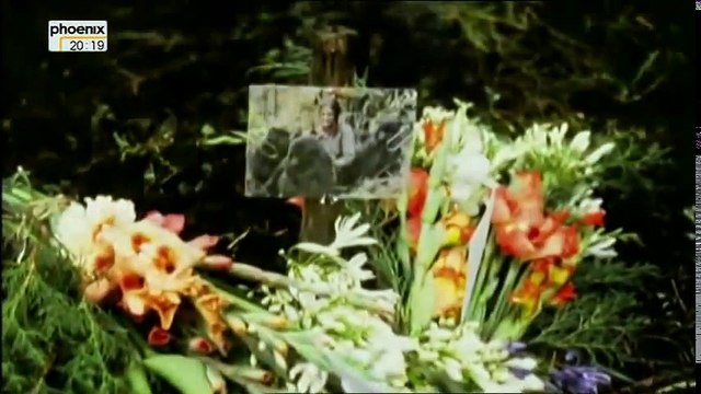 Die letzten Tage einer Legende Dian Fossey Doku Dokumentation