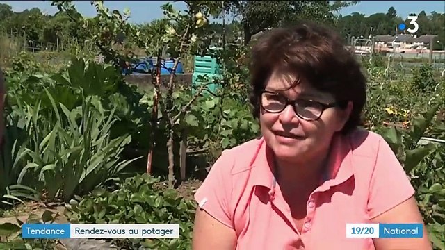 Mulhouse : le succès des jardins ouvriers