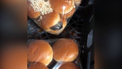 Mouse Found Inside Wendy’s Hamburger Bun Bag