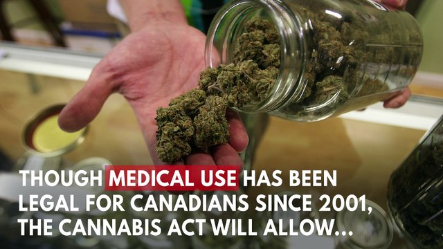 Canada Legalizes Recreational Marijuana Use