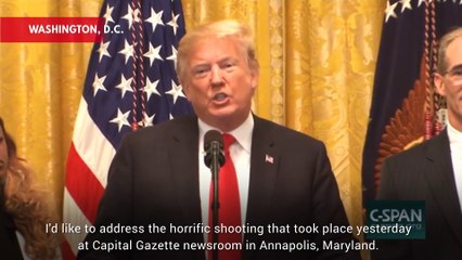 President Trump Defends Journalists In Response To Capital Gazette Shooting