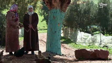 Kloub Taiha - Ep 8 - قلوب تائهة الحلقة