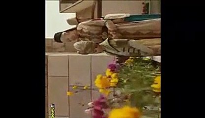 مسلسل محمد الفاتح الحلقة 7 الاخيرة المقطع 1